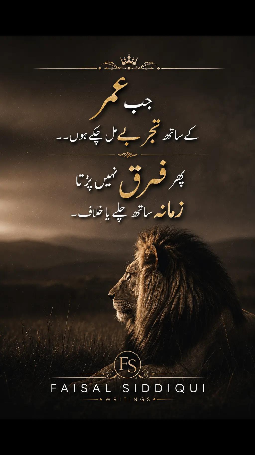 @faisal.siddqui125