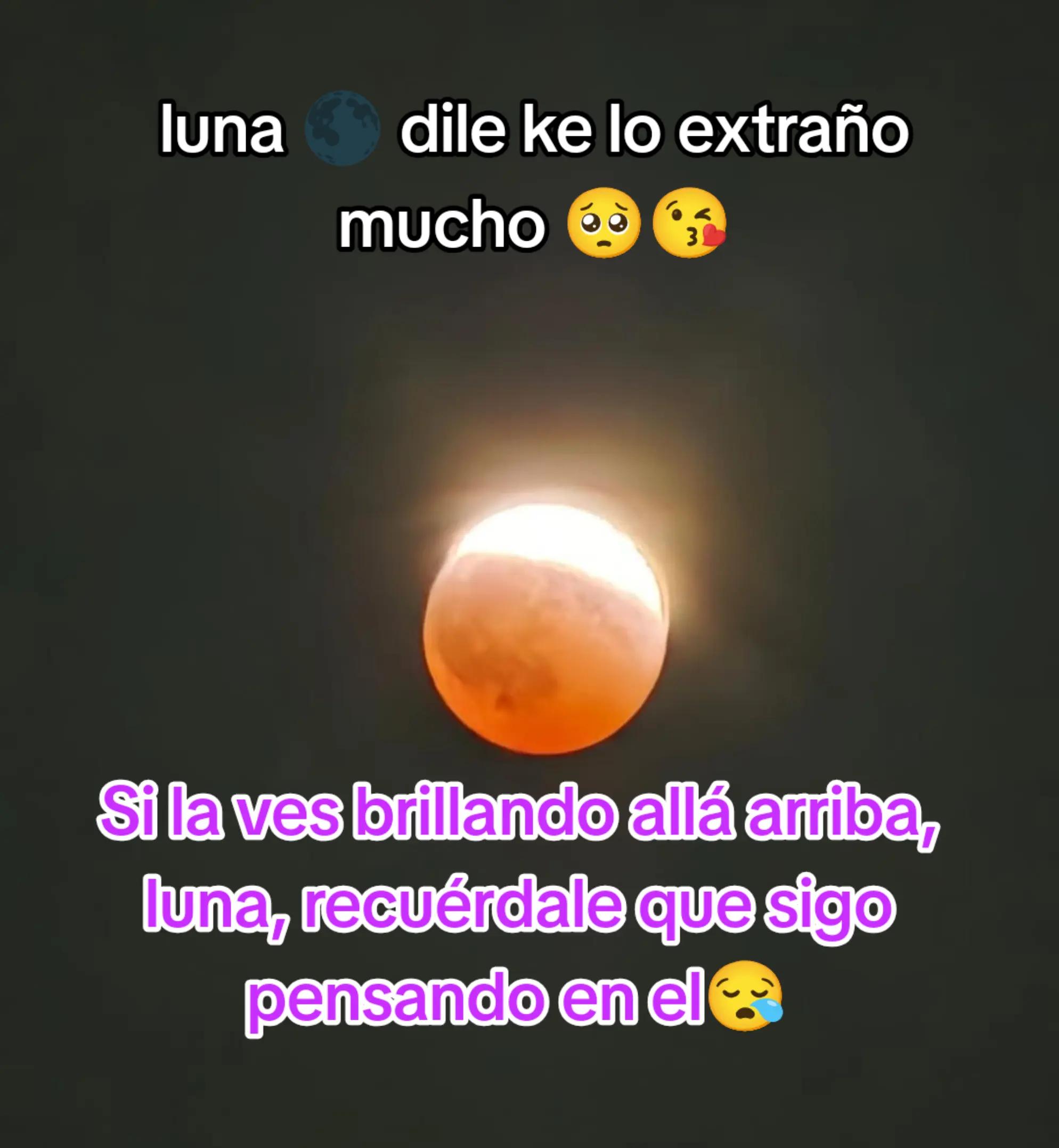 @🥰😍 zareth preciosa 😍💕