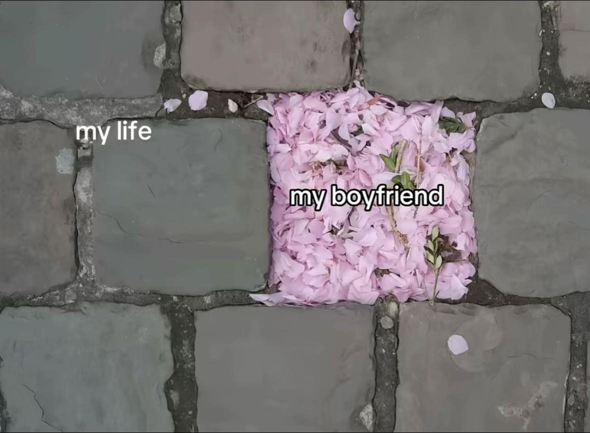 @fuckshit