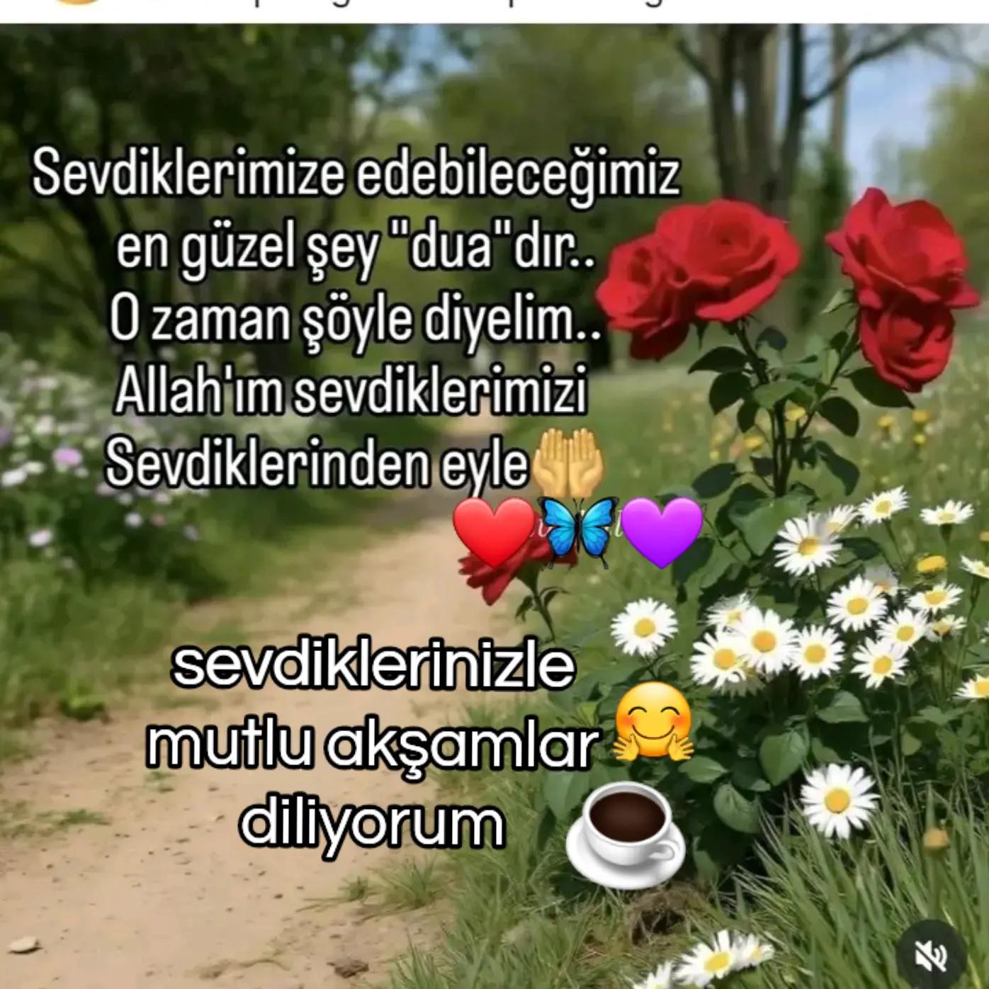 @🇹🇷Yasemin 01 35🇹🇷