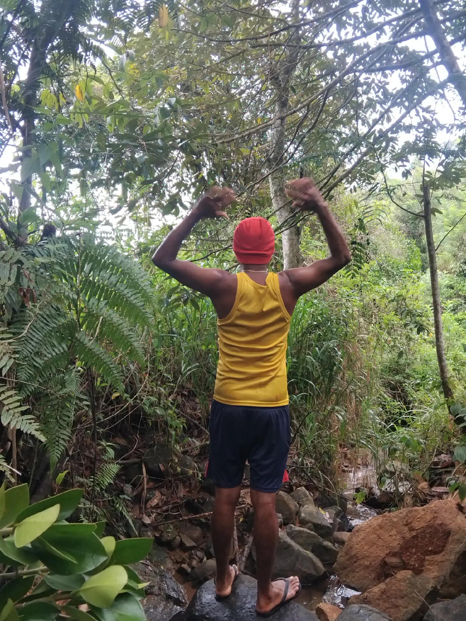 @🇱🇰- ගම්පොළ කැලුම්-🇱🇰