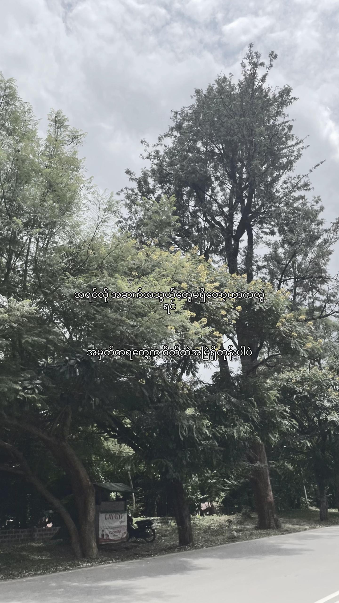 @jia.yi538