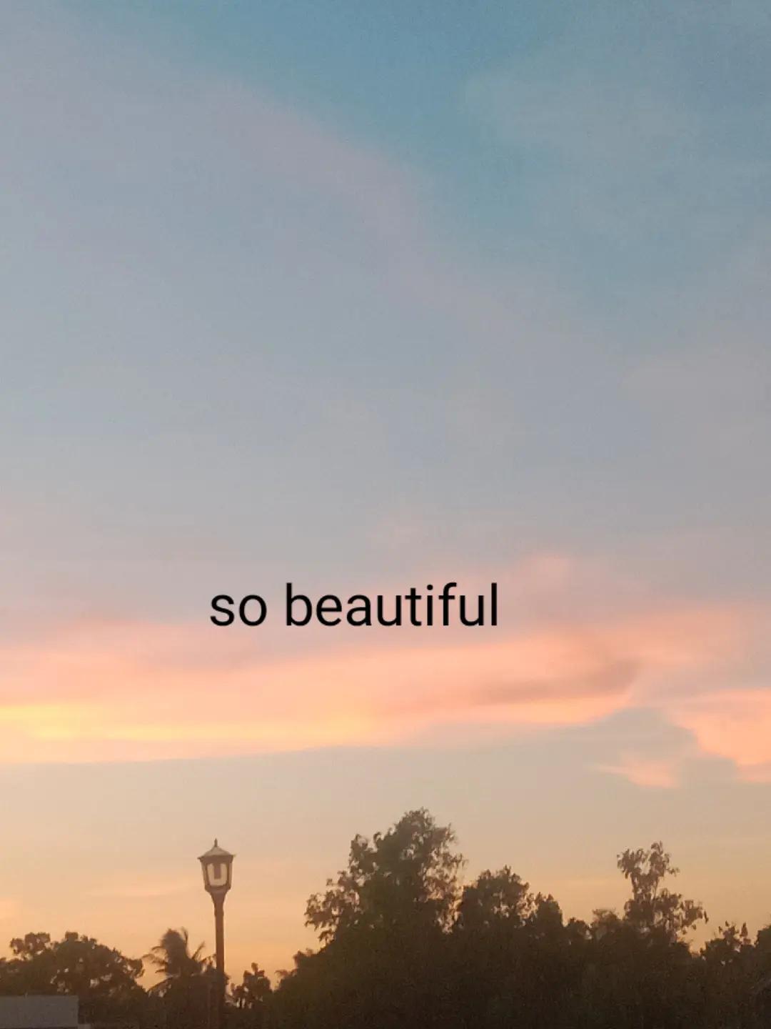 @princess amelia wu