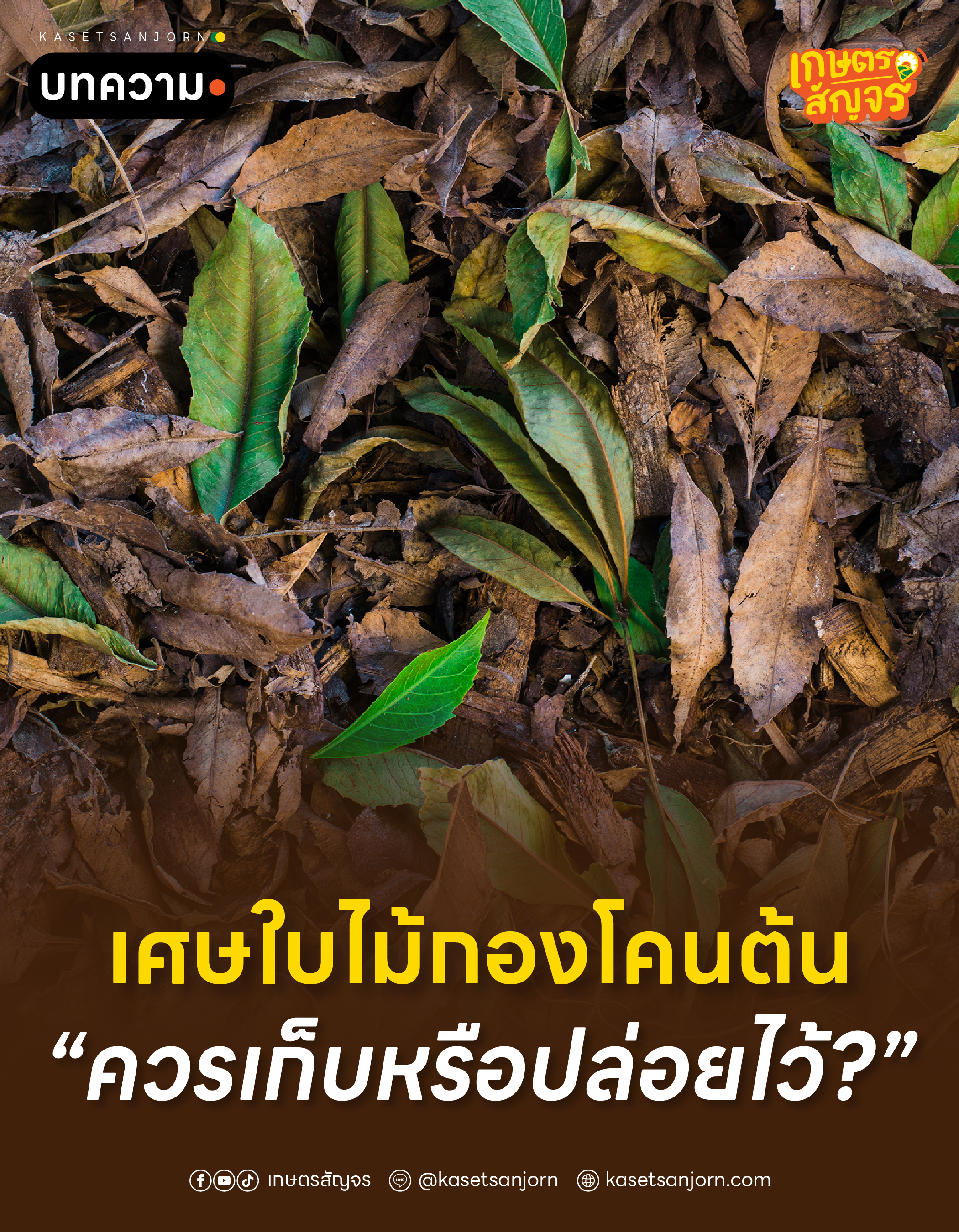 @เกษตรสัญจร