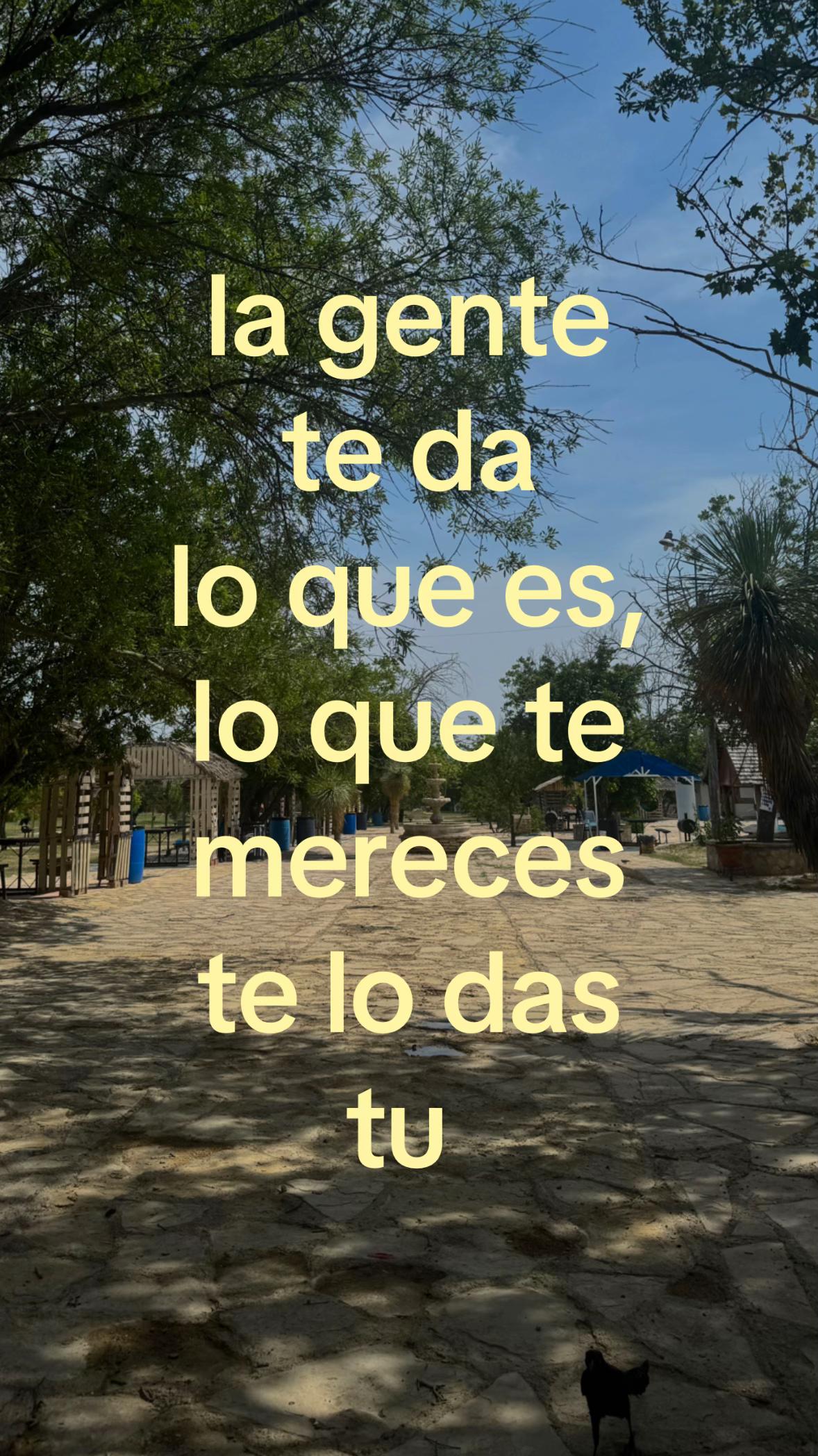 @cammi