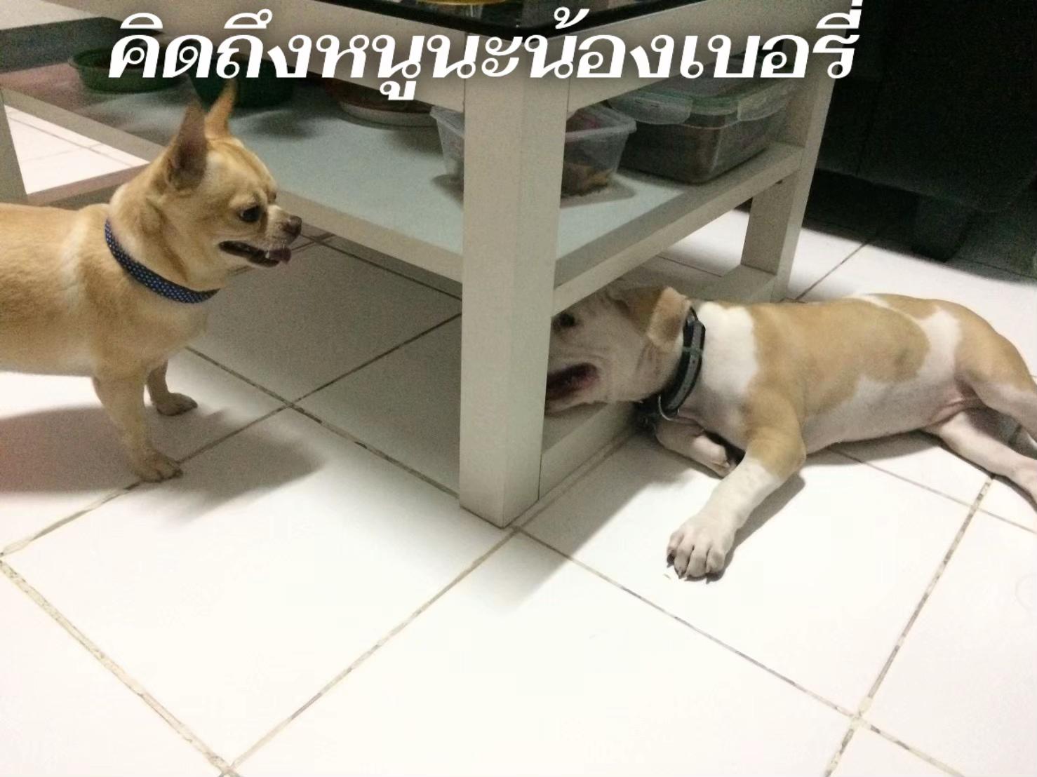 @Nicky&Taro