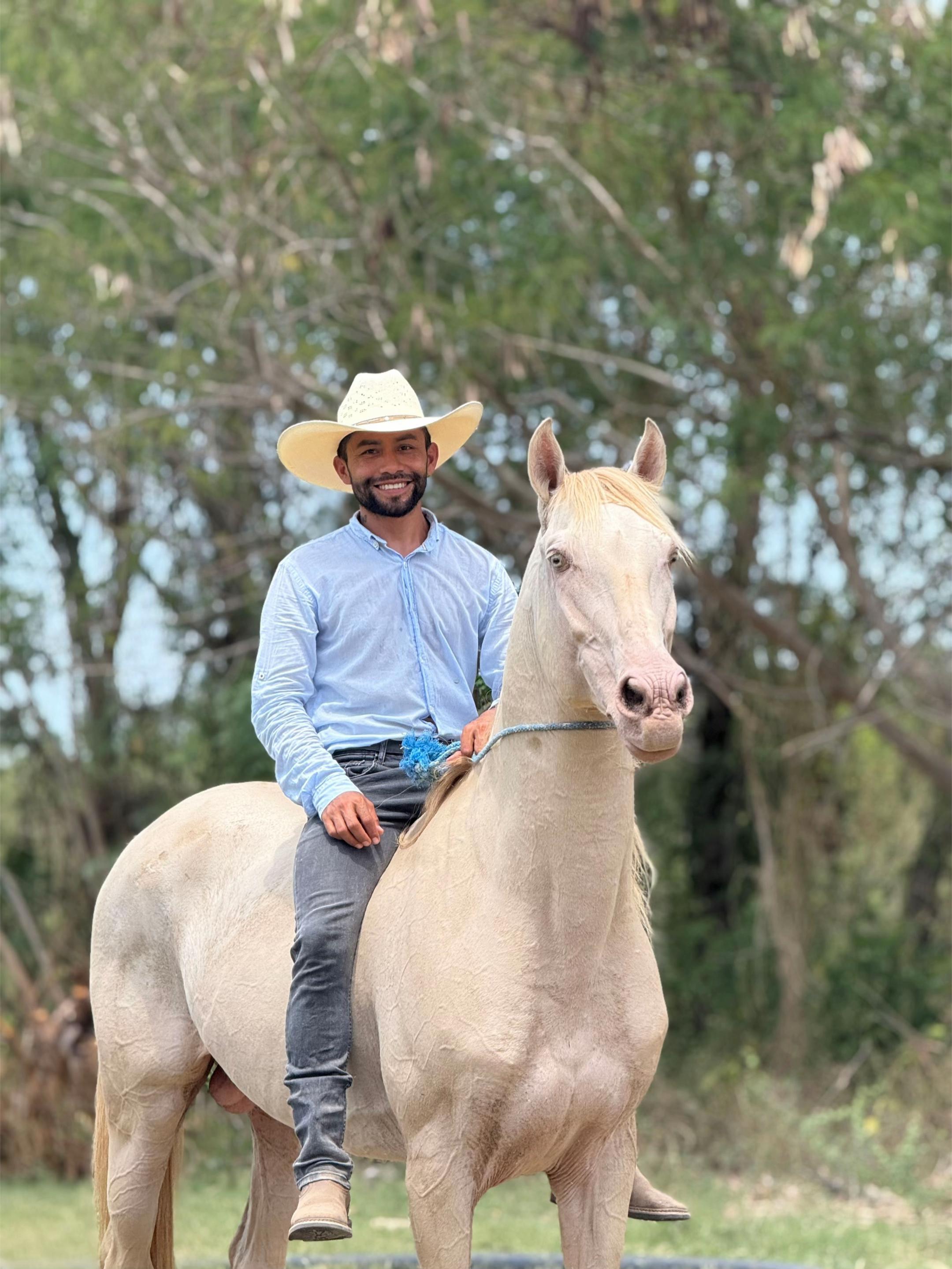 @reydelcaballo.gt