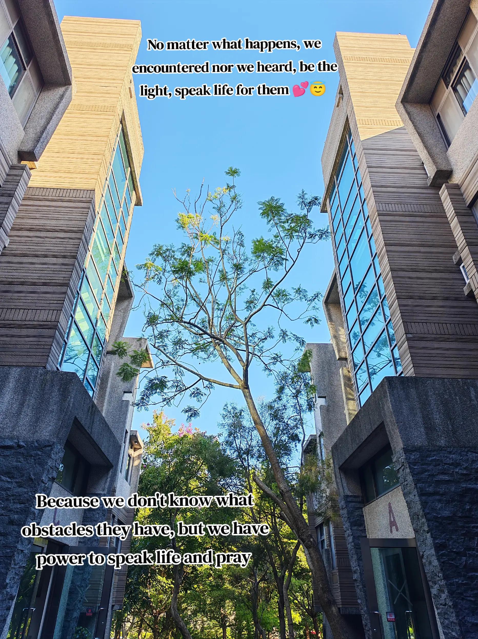 @Leji 💕