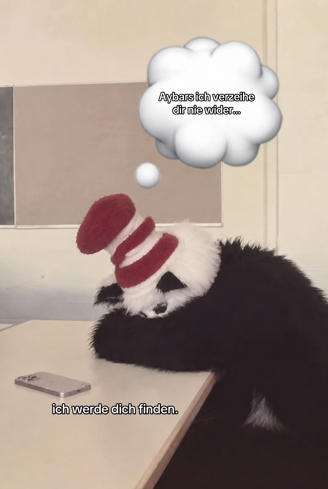 @catinthehathamm
