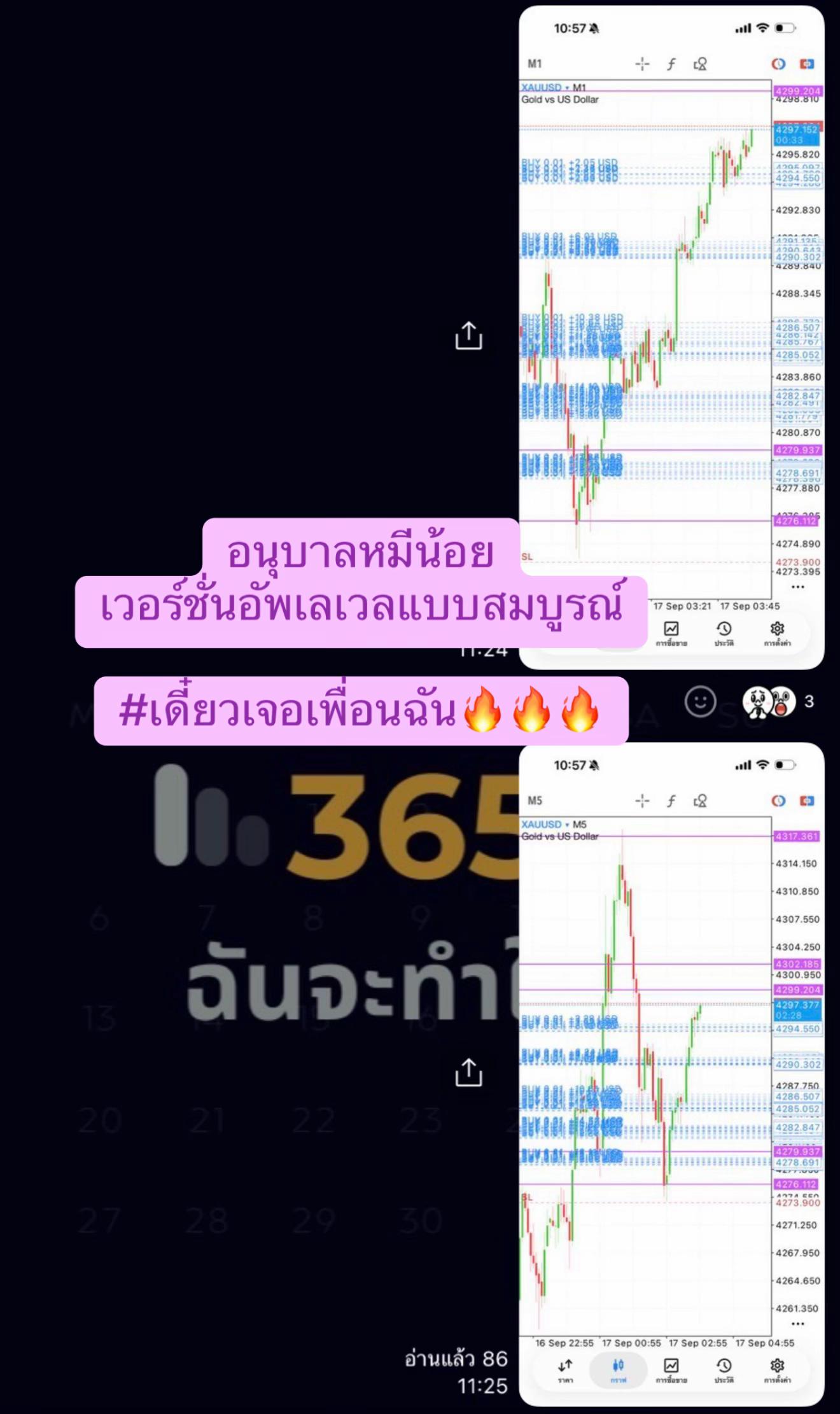 @อนุบาลหมีน้อยเทรดเดอร์🧸