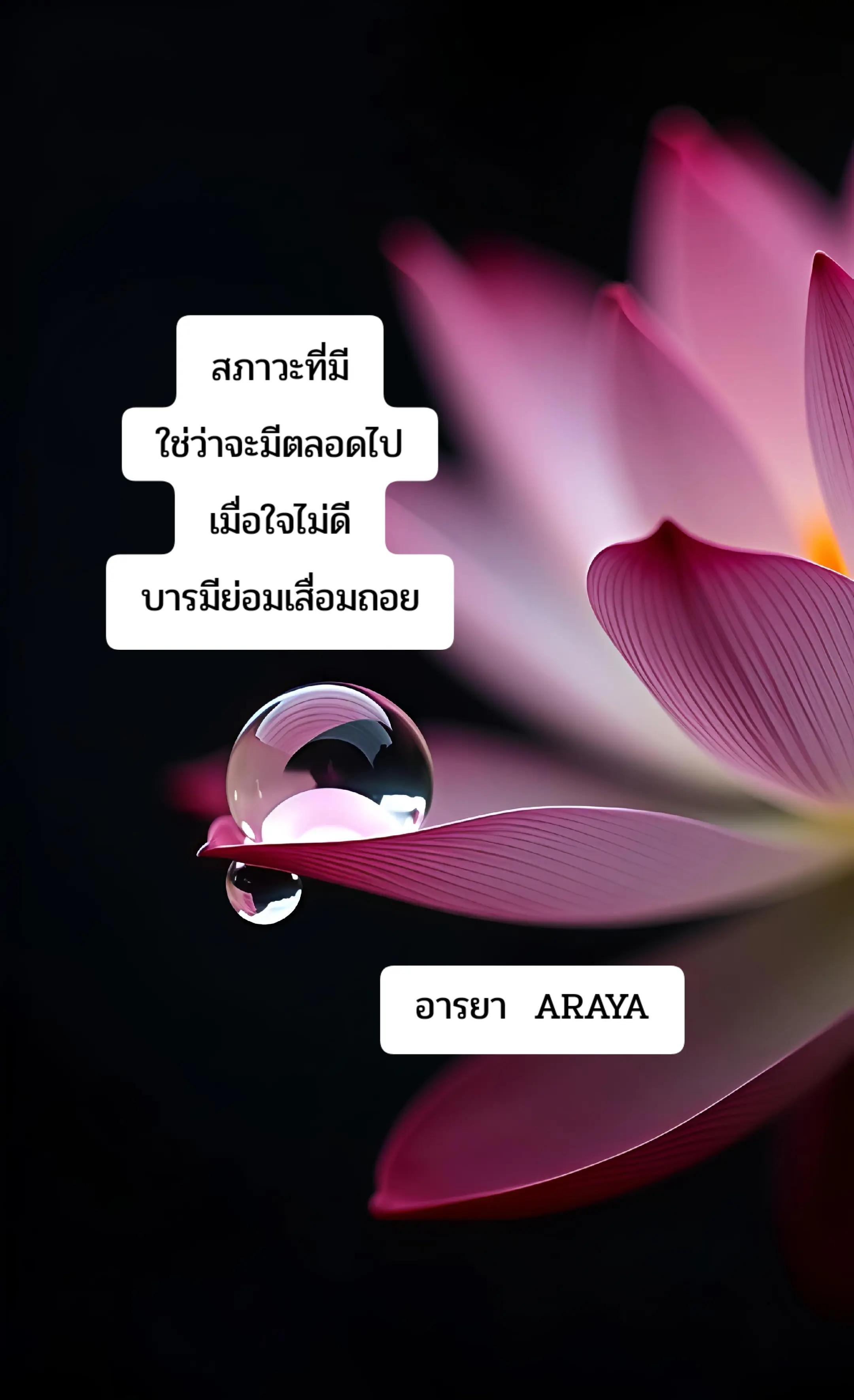 @อารยา araya