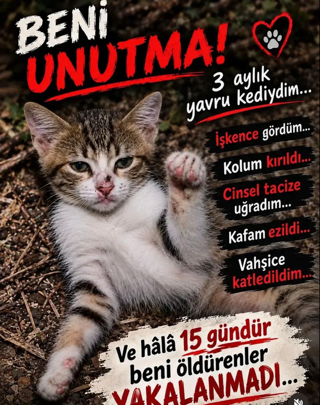 @yudummz_