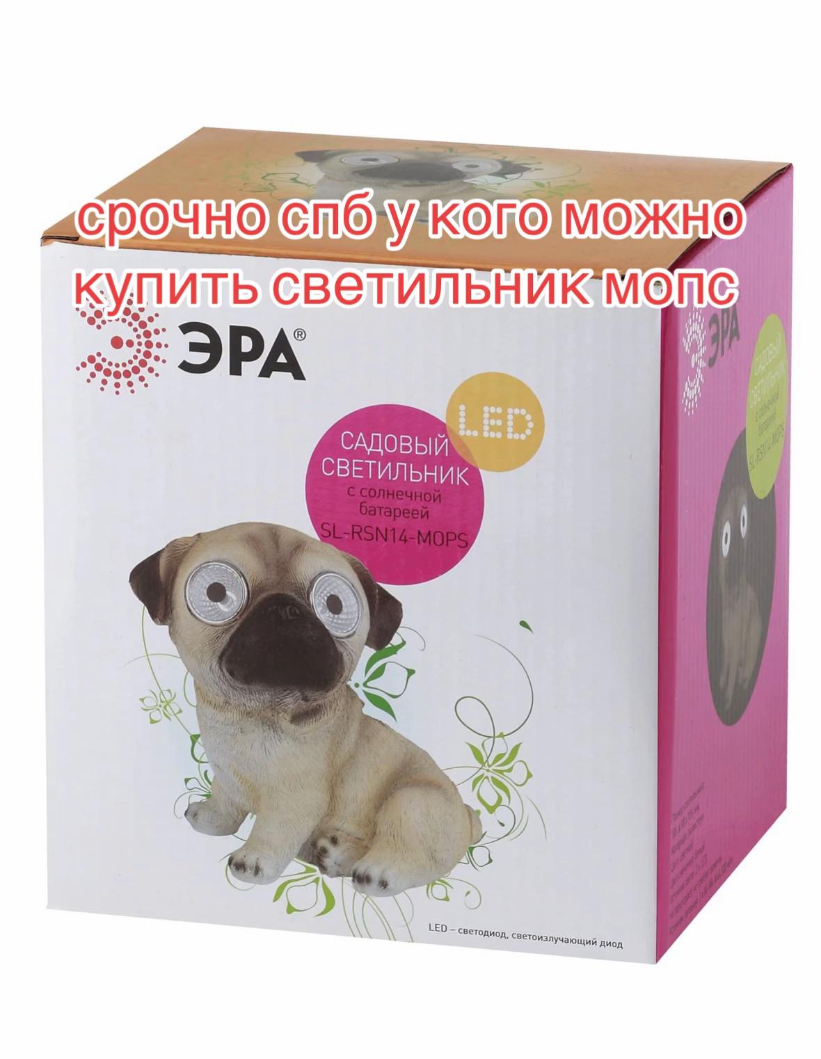@приятный но неадекватный