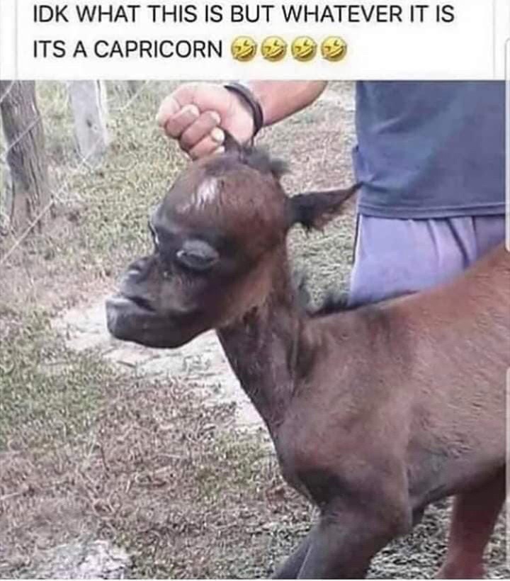 @DreadHeadBajan561🇧🇧♉️
