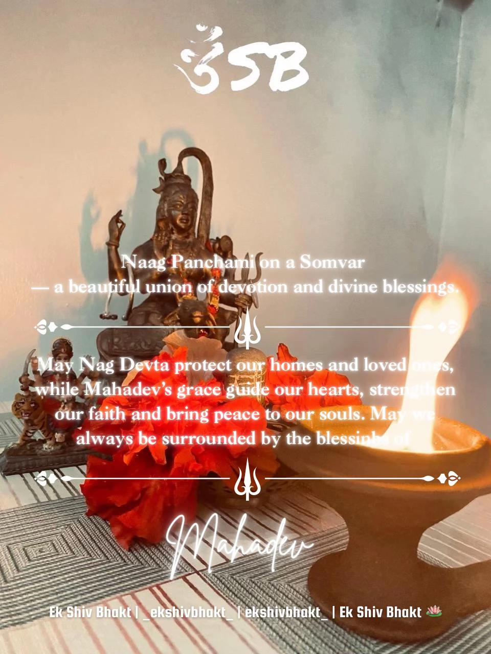 @Ek Shiv Bhakt 🪷