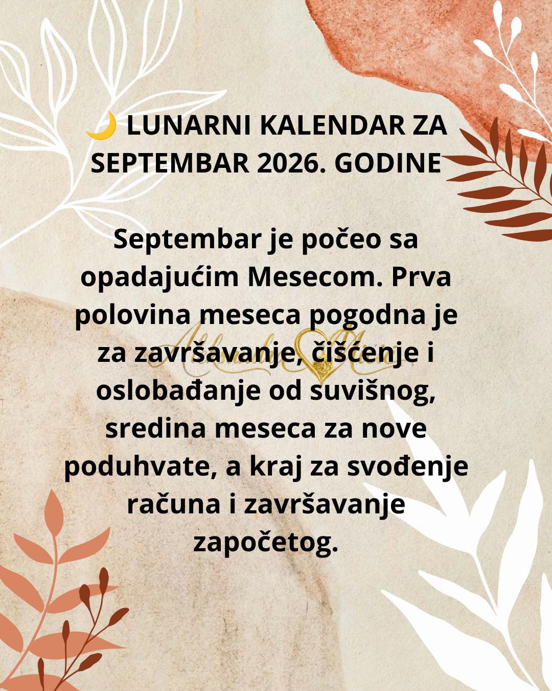 @Aleksandra Micic