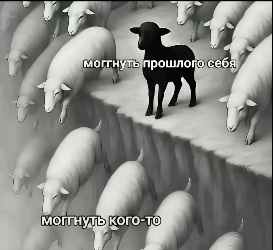@быдло стоик