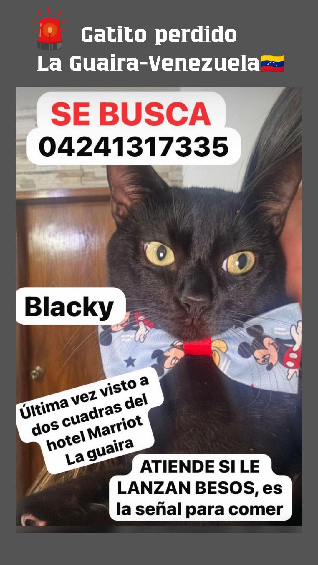 @Amigoscaninos_Ambato