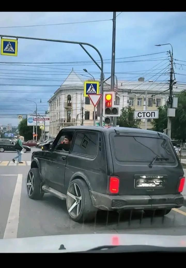 @lənkəran_Quş.Bazı🕊️