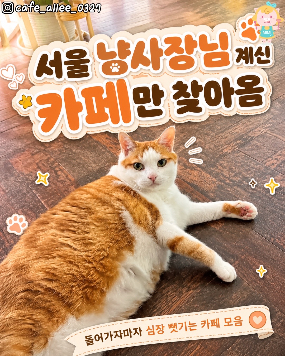 @서울핫플