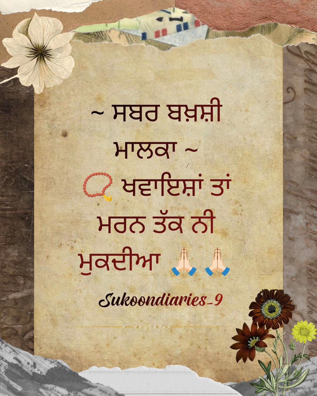 @Sukoon Diaries 🕊️