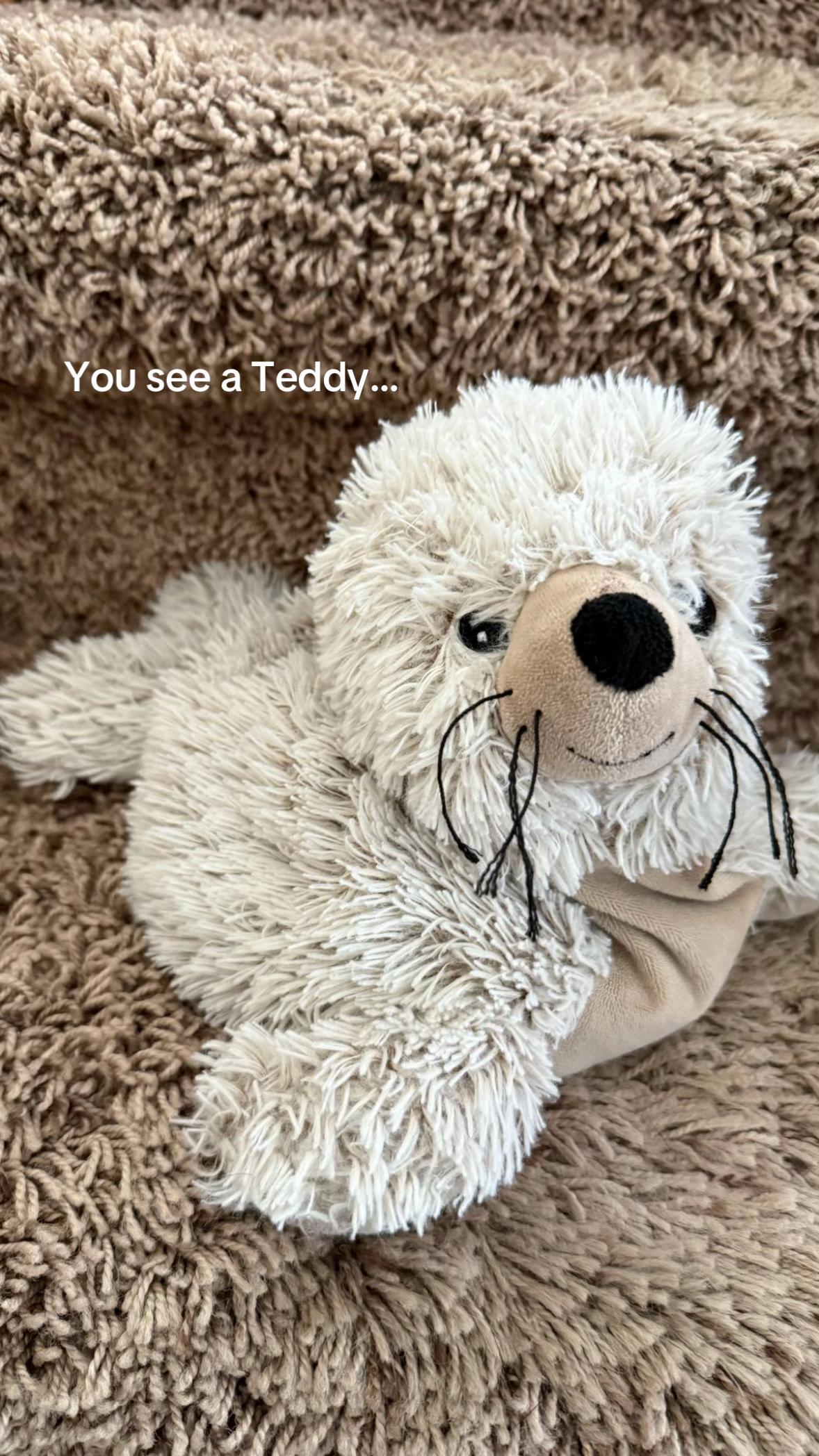 @Brookley | Teddy Portraits
