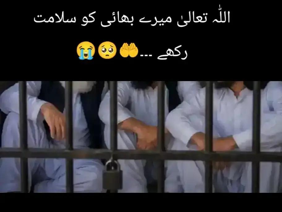 @رضوی کہتے ہیں 🇵🇰🇸🇦