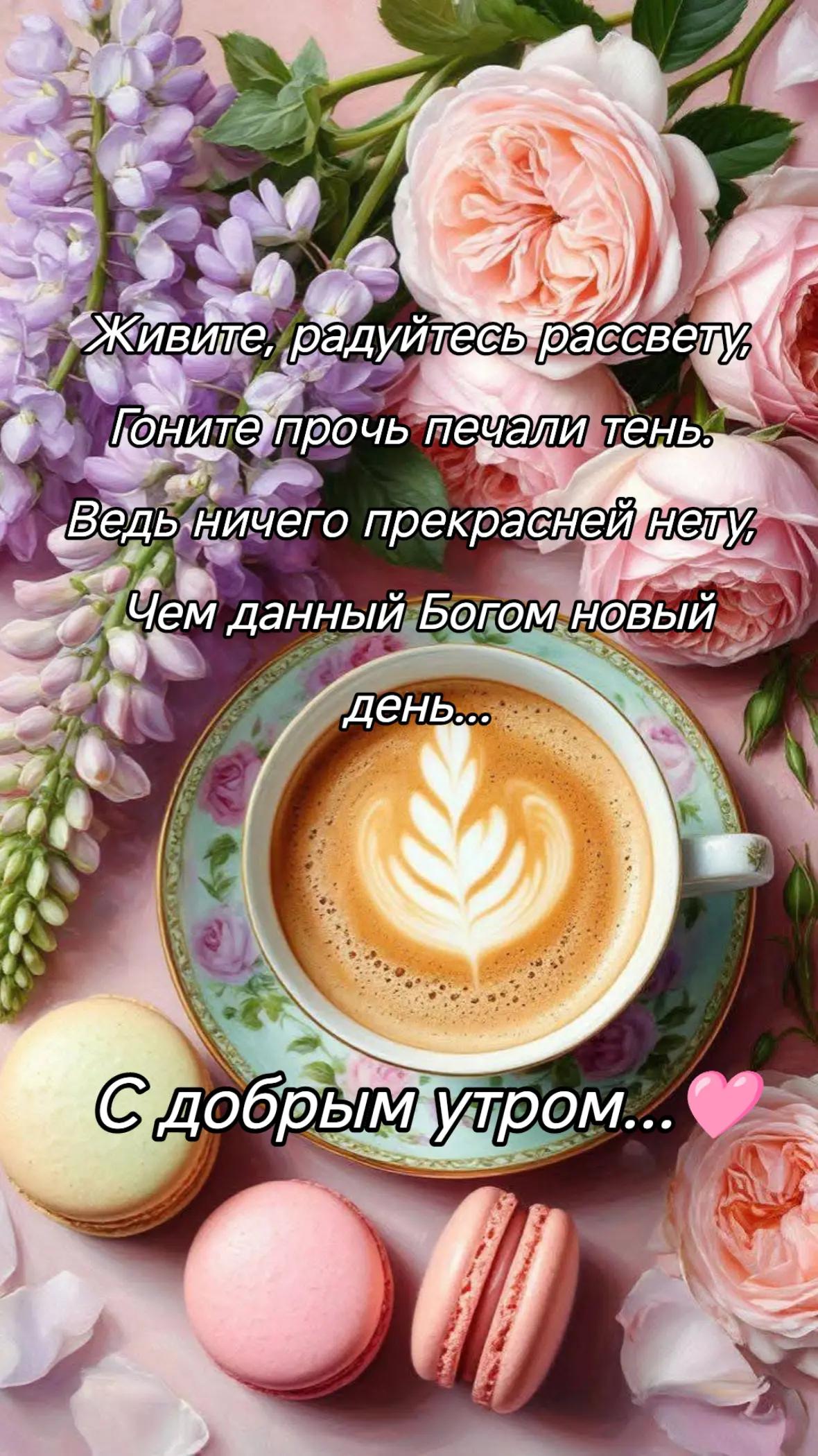 @Elza