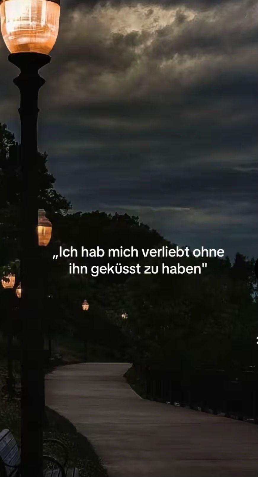 @🍃