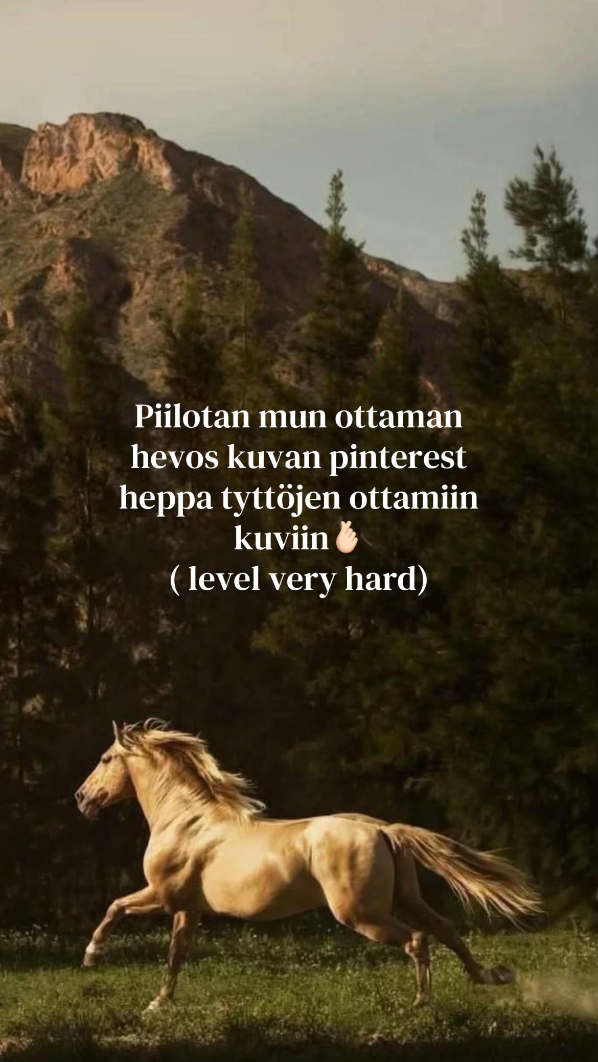 @Team.Toikkanen🇫🇮💞