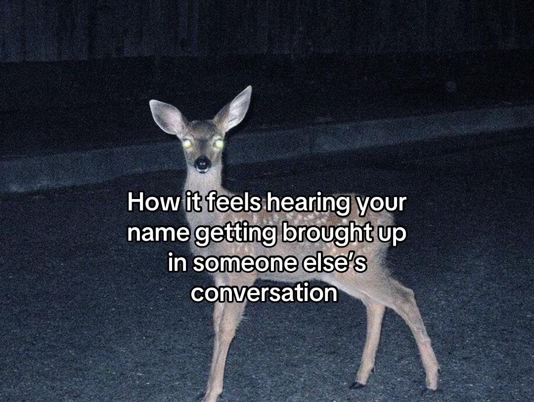 @its_justellies