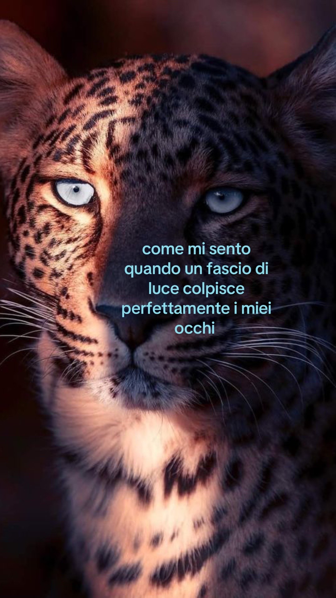 @sabry🦋