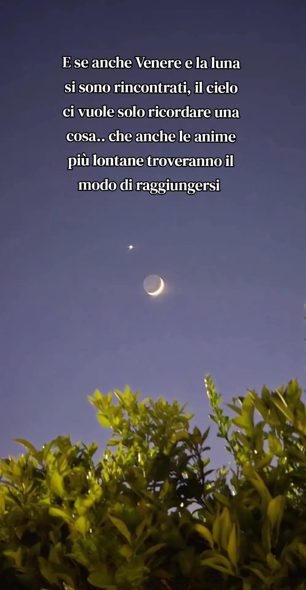 @Emilia Grieco