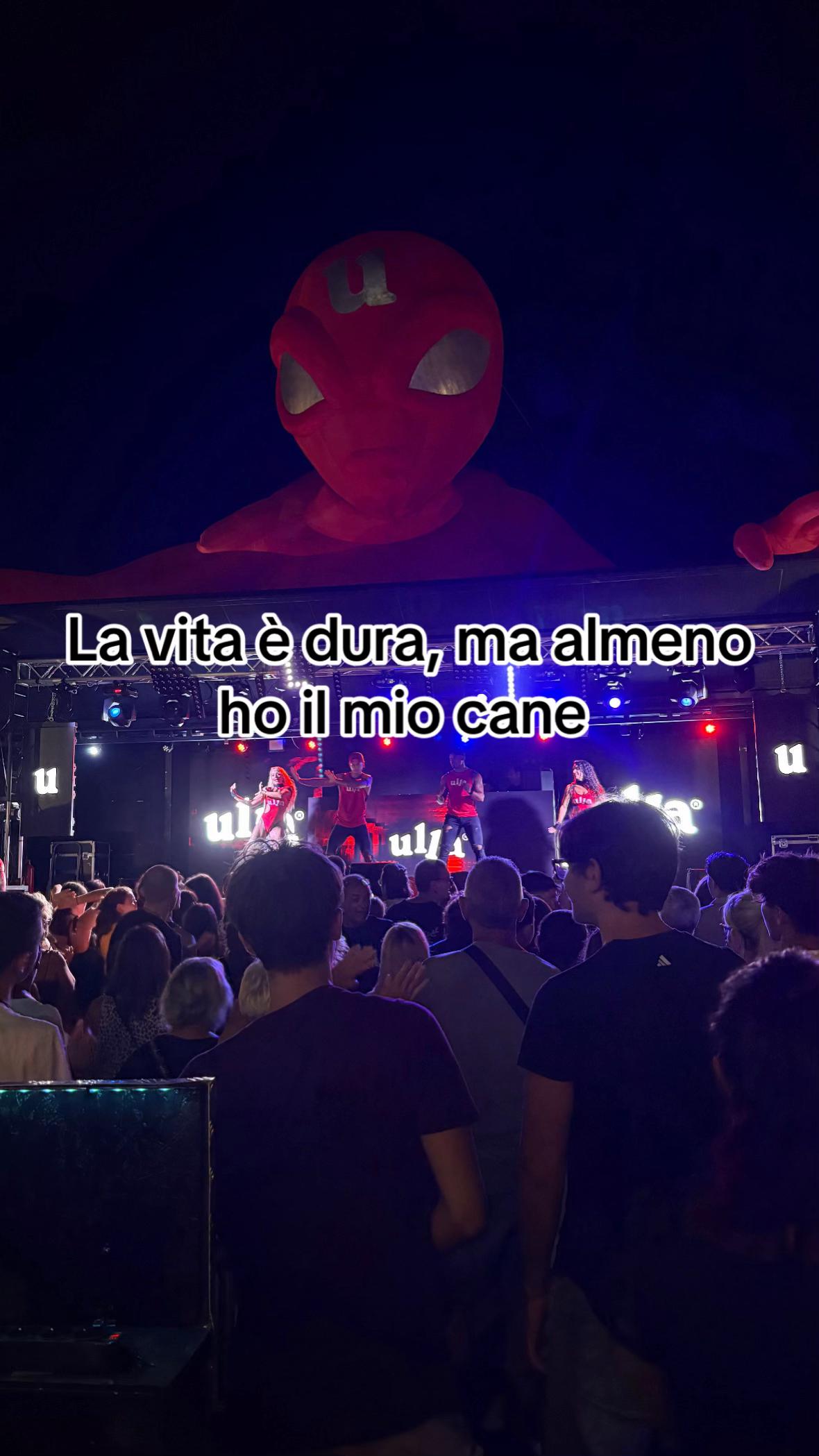 @Piccolo Theo👑