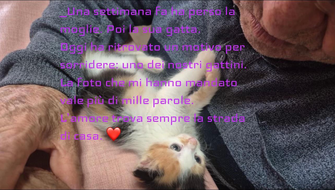 @Iolanda Scintilla