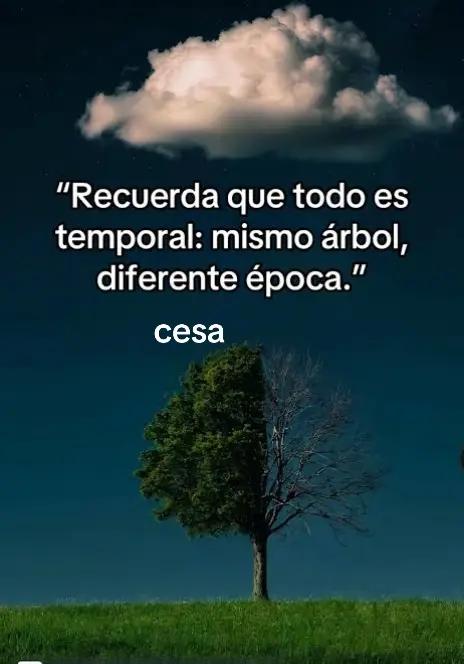 @cesa