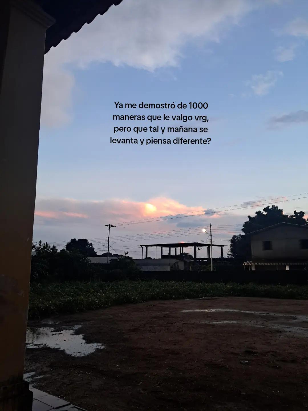 @pelisfd15