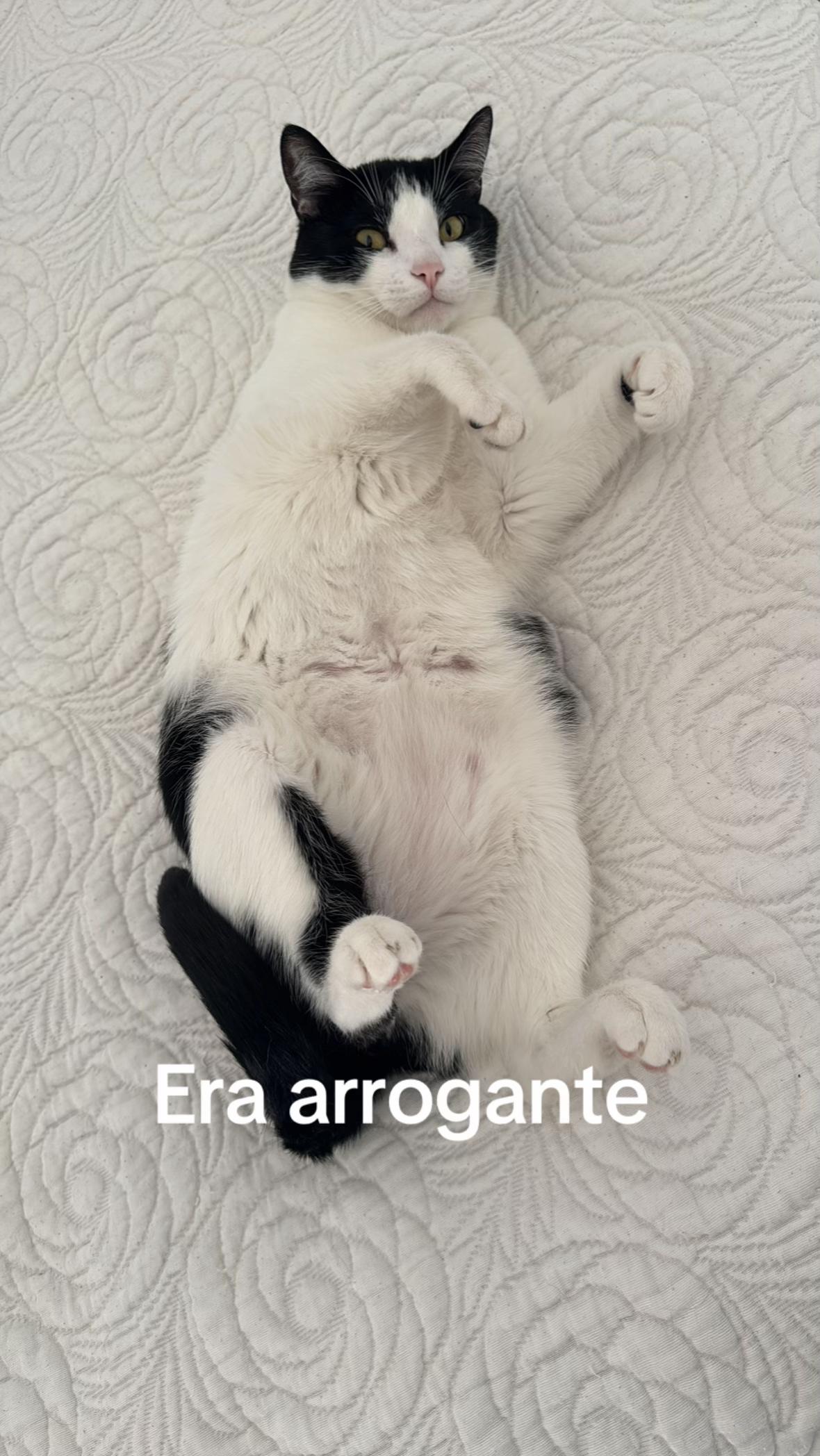@Rita Esposito