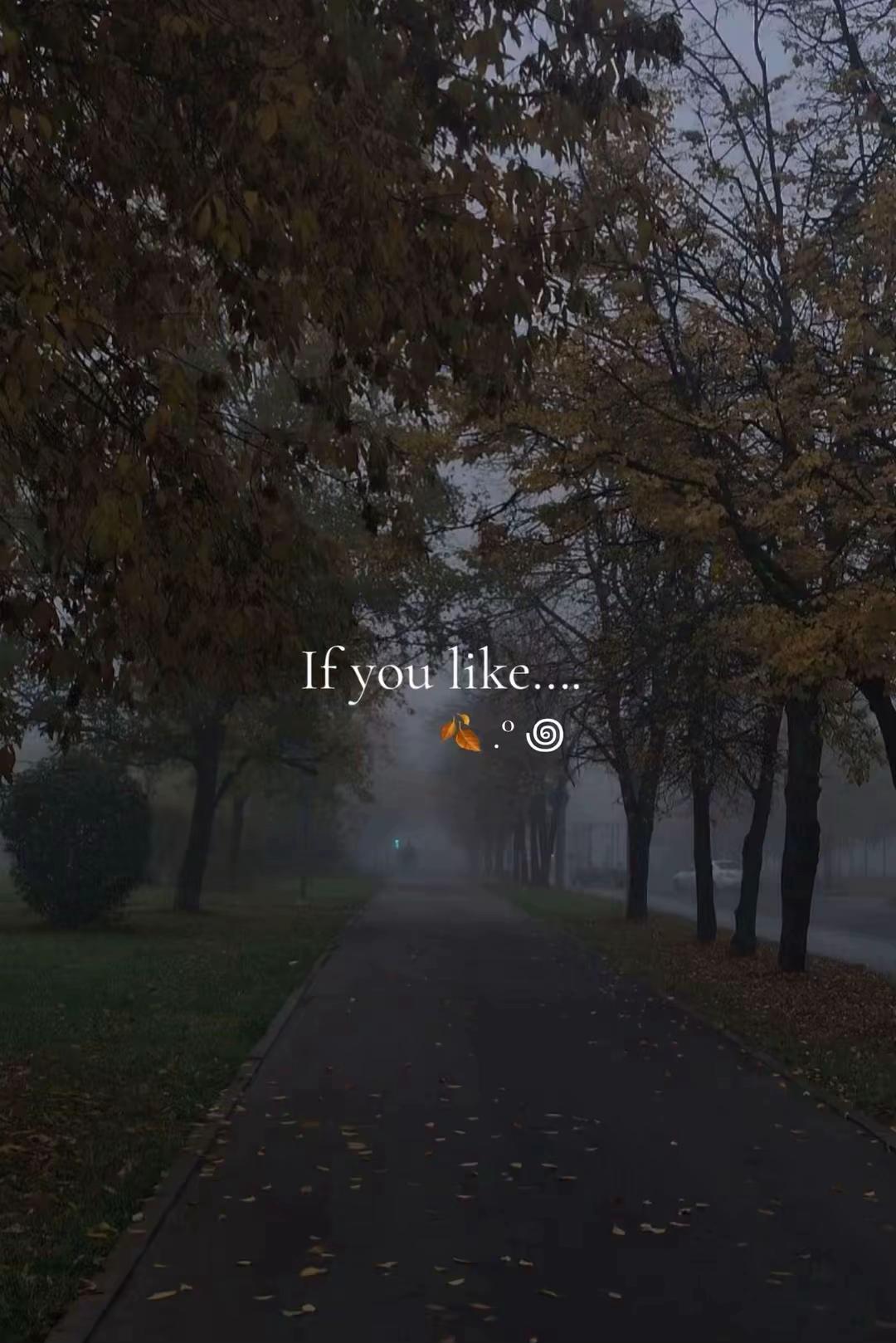 @🍂☆&dagger;&deg;Autumn diary˙&deg;🍂