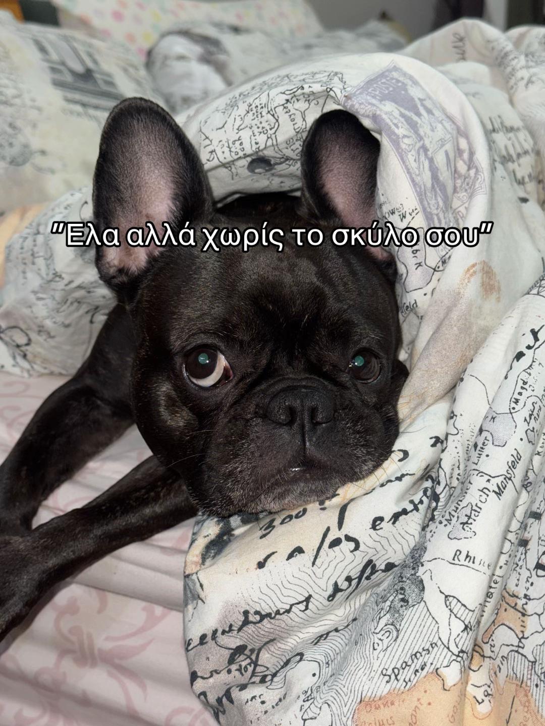@&Xi;έ&nu;&iota;&alpha; &Nu;&tau;ί&zeta;&omicron;&upsilon;
