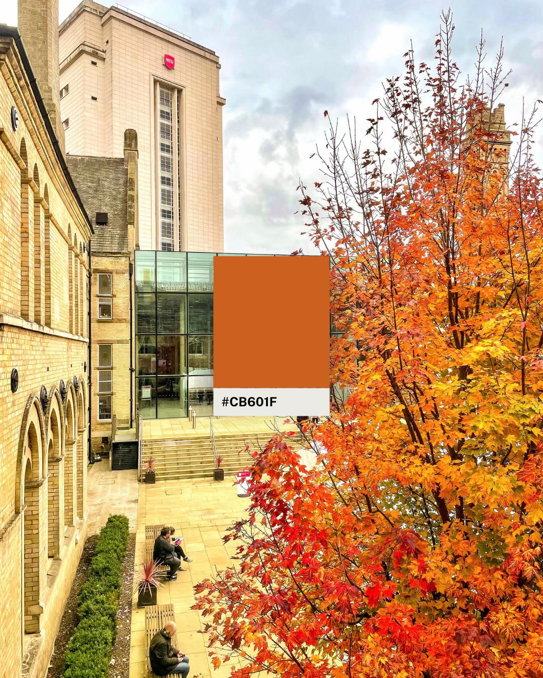 @Nottingham Trent University