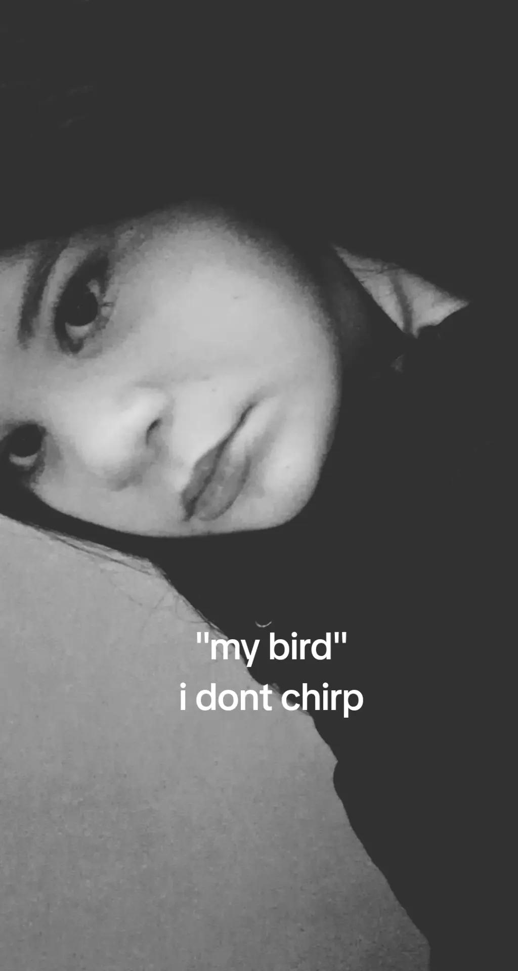 @lucy