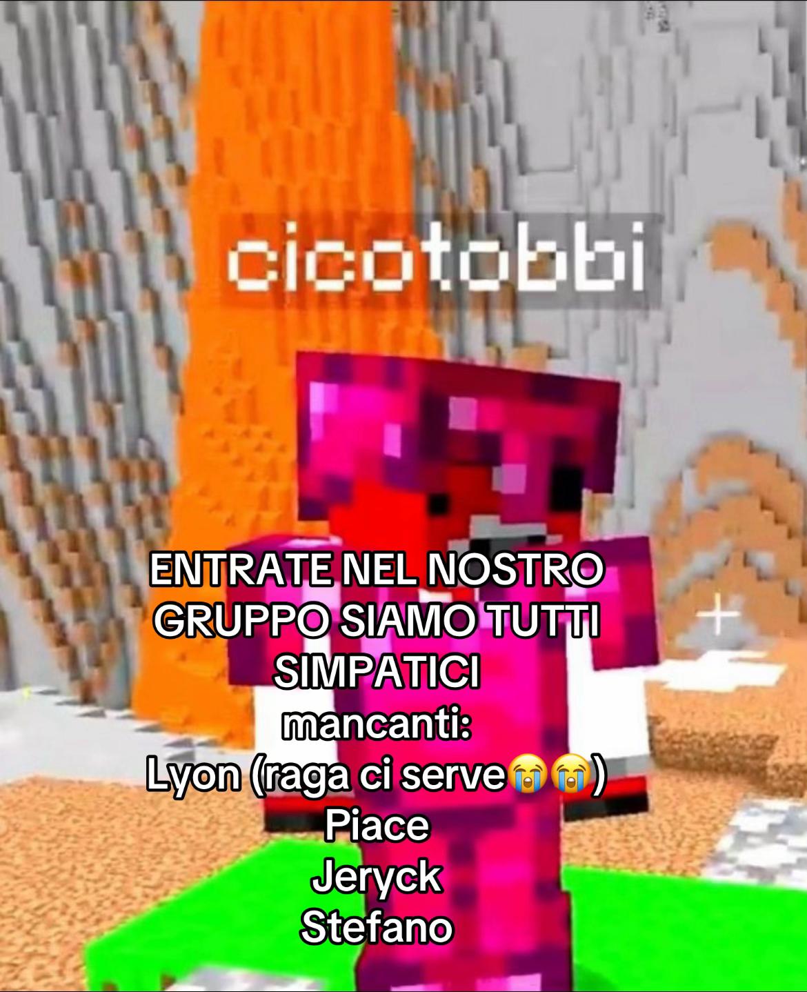 @cicotobbii