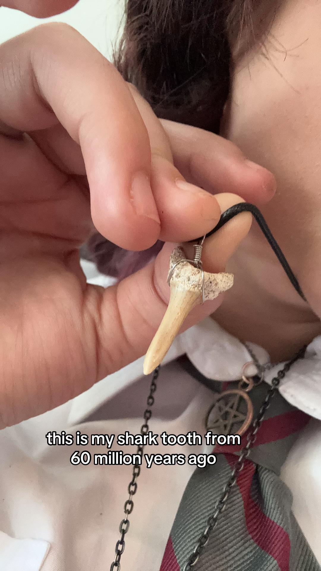@izzy daisy