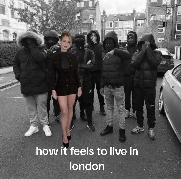 @bunni