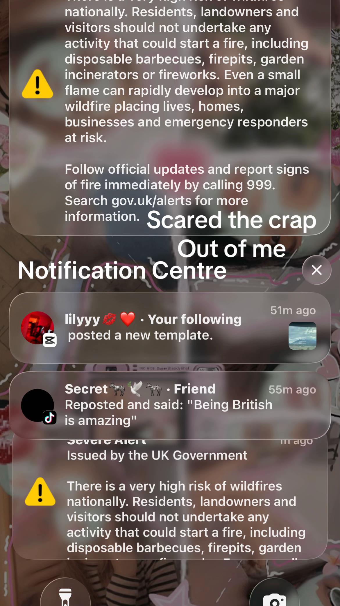 @Evelyn_spamx