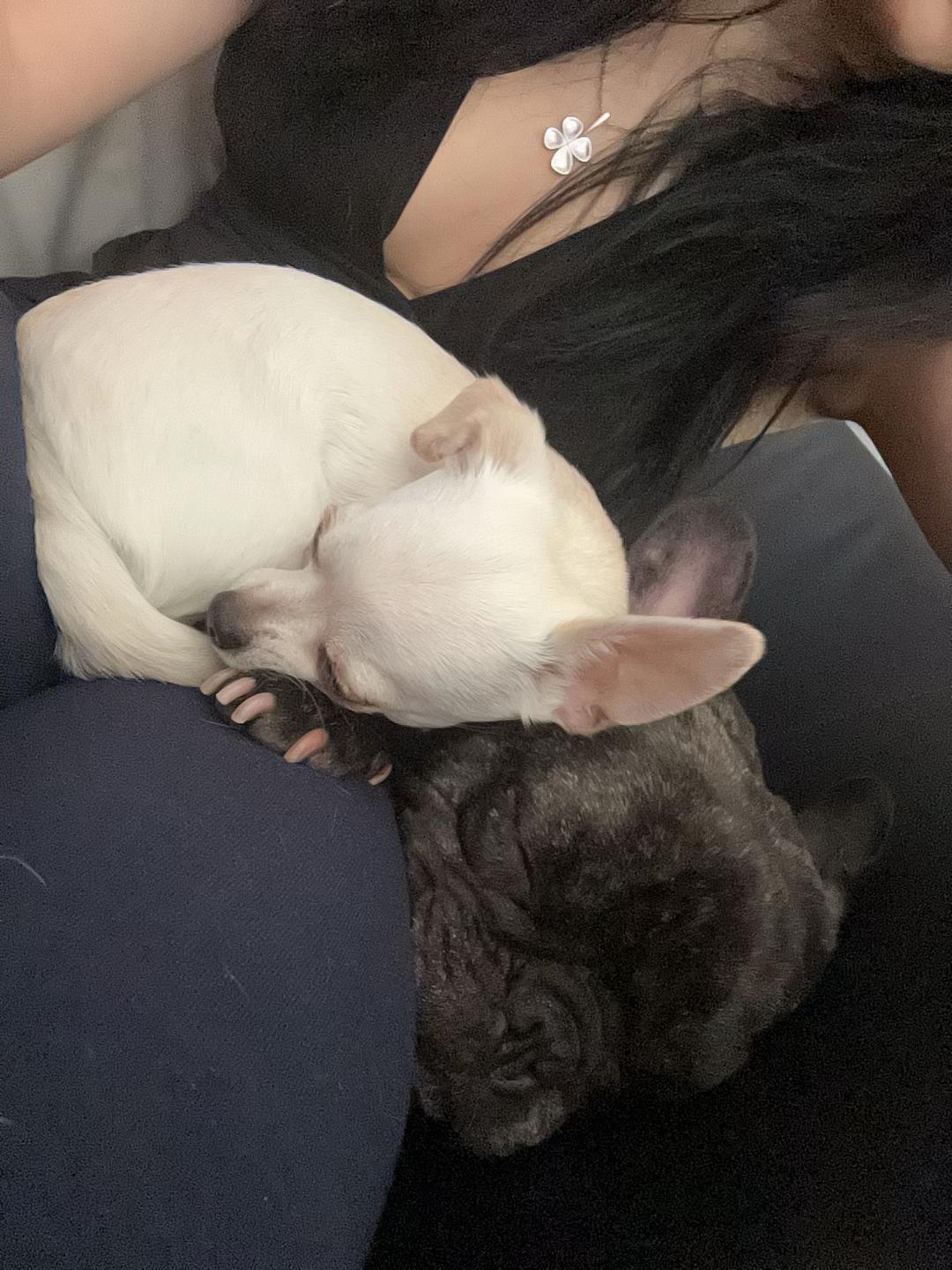 @Pinja💕