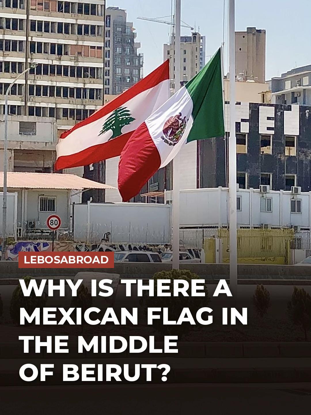 @lebosabroad