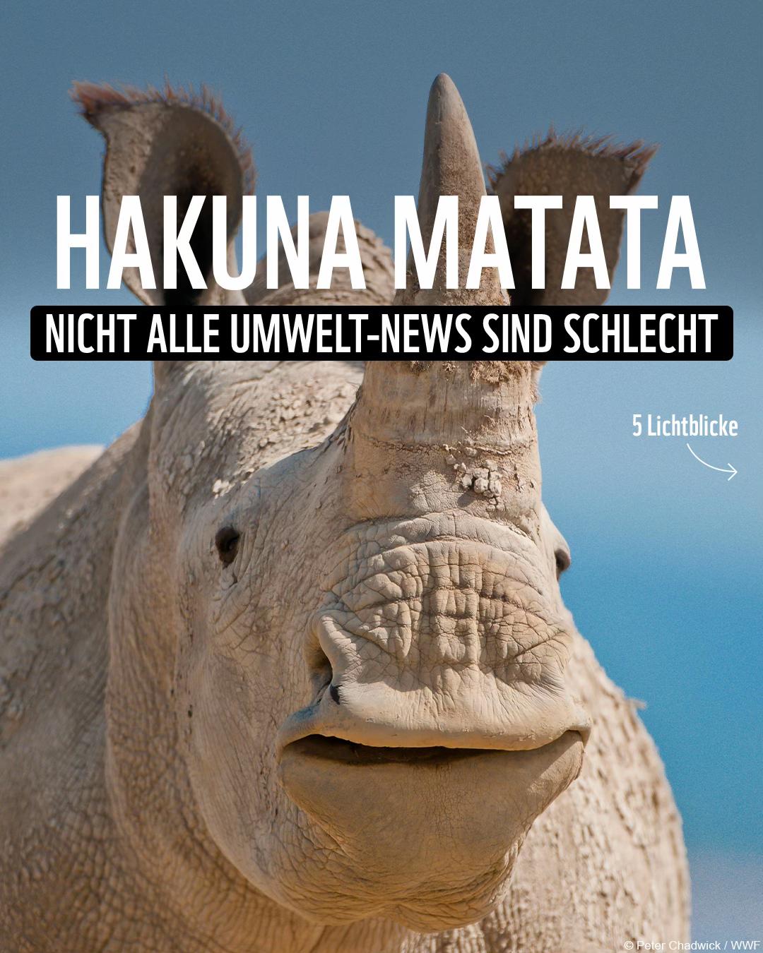 @WWF Schweiz