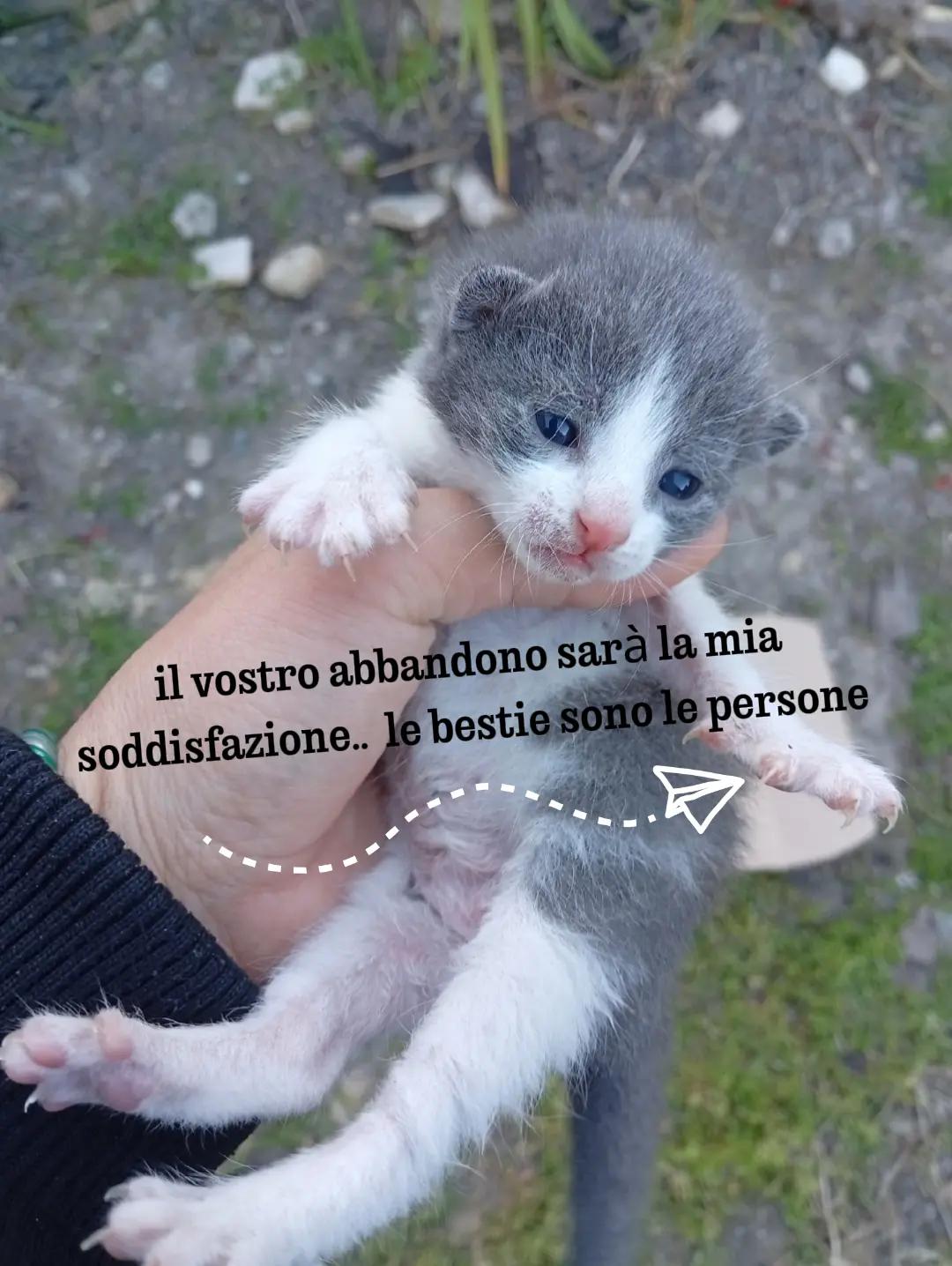 @Maria Salvatore